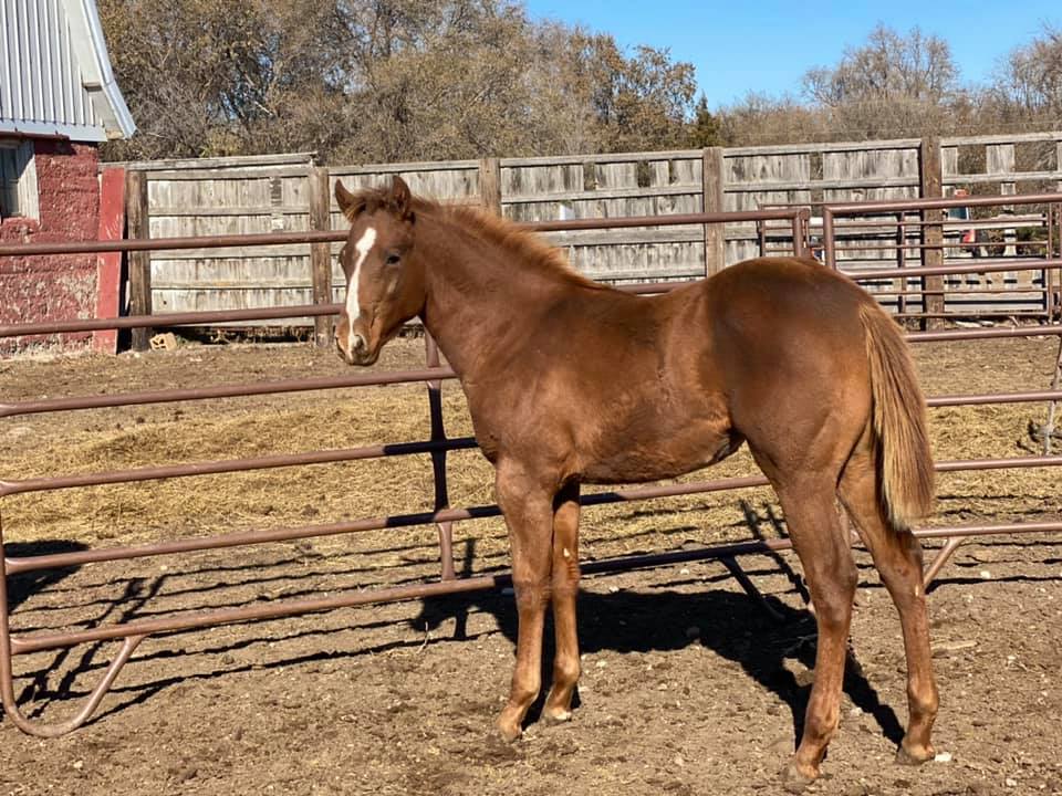 Coat Hanger Ranch | Pierre SD
