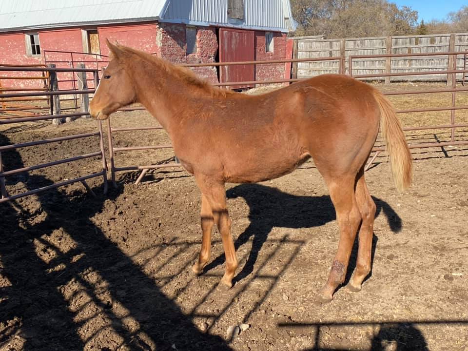 Coat Hanger Ranch | Pierre SD