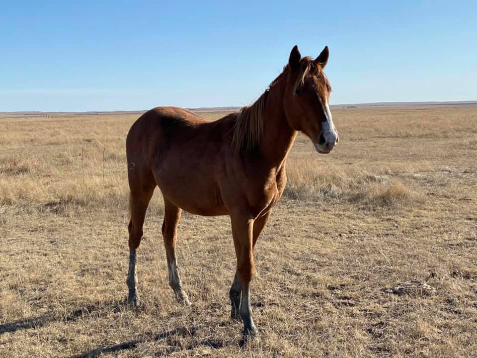 Coat Hanger Ranch | Pierre SD