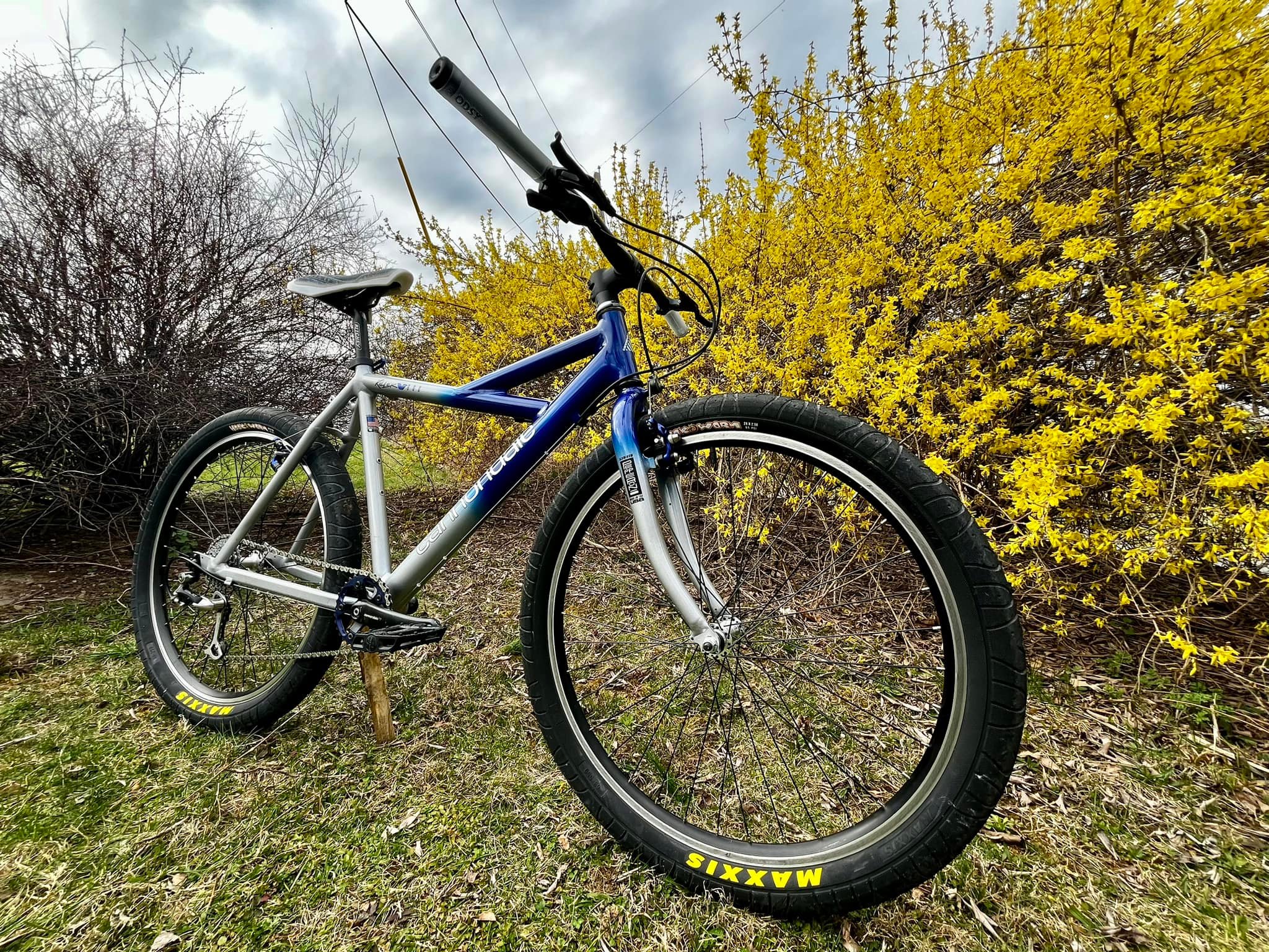 Custom '94 Killer V Cruiser bike with Selle Italia Jaddle