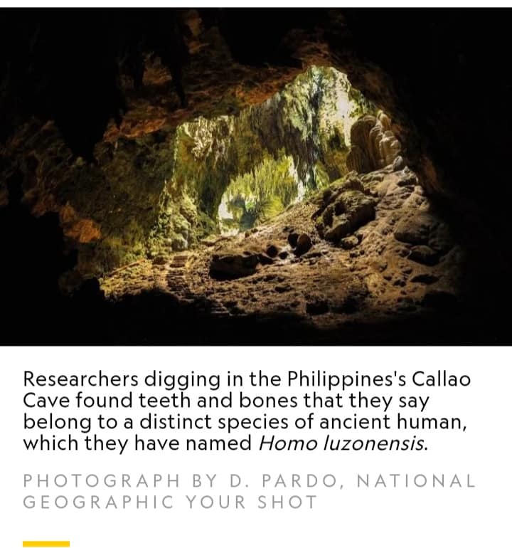 New species of ancient human discovered in the Philippines Dubbed Homo ...