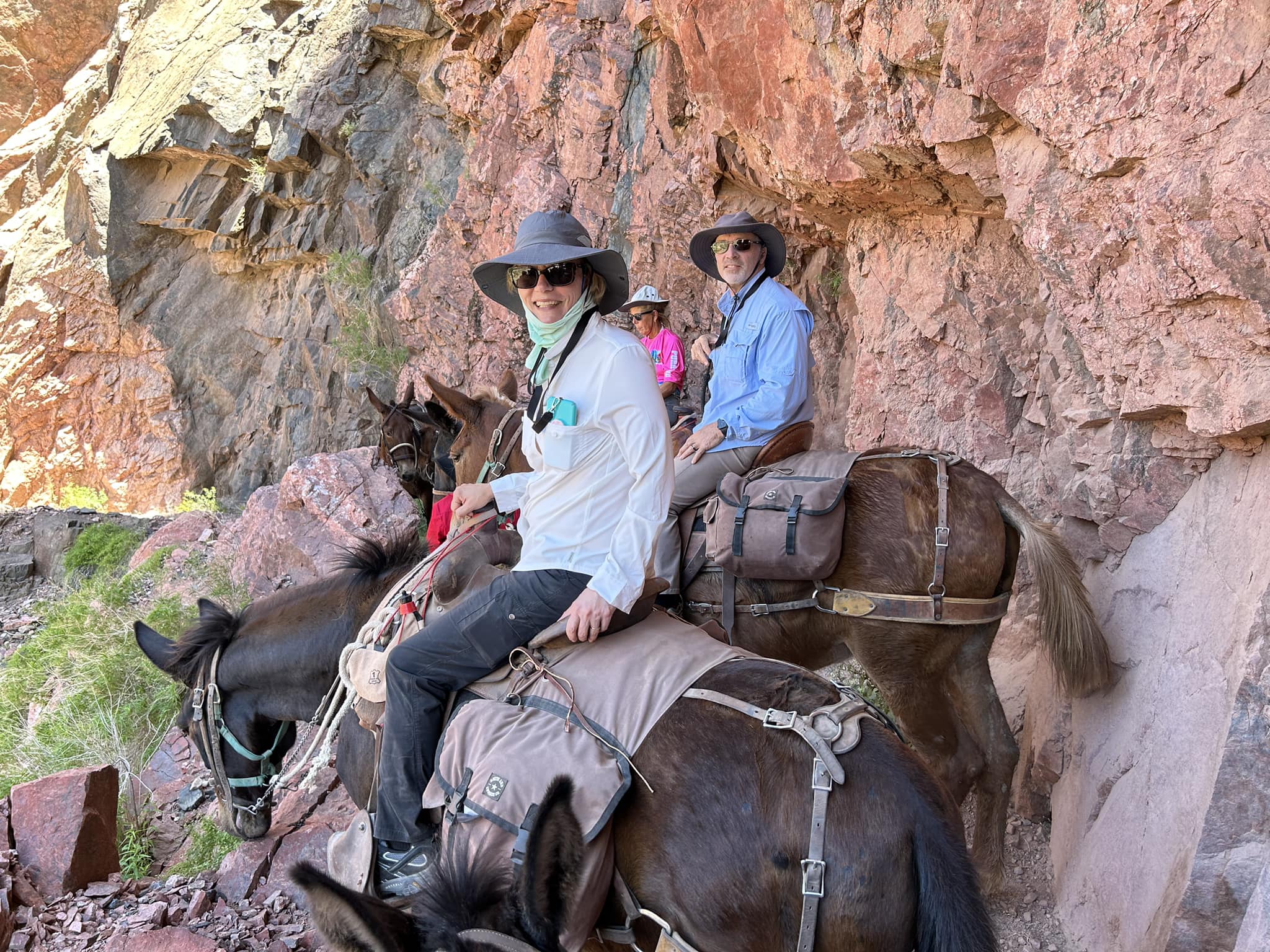 Mule train in the Grand Canyon, Arizona - have you tried this
