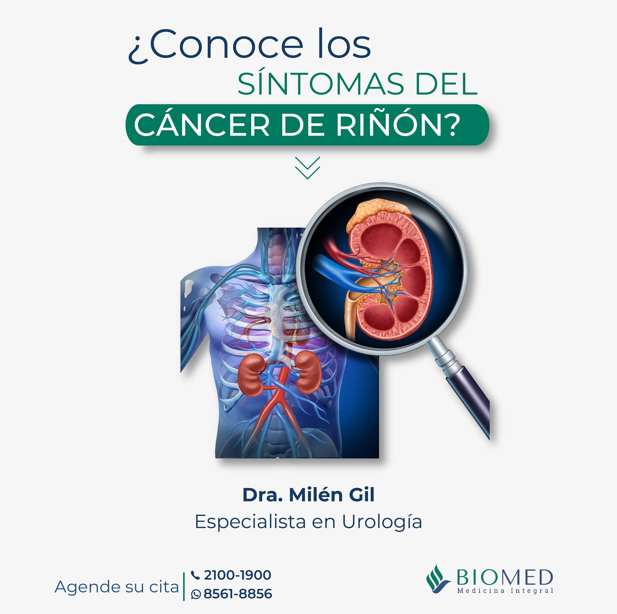 Biomed - El cáncer de riñones una enfermedad silenciosa...