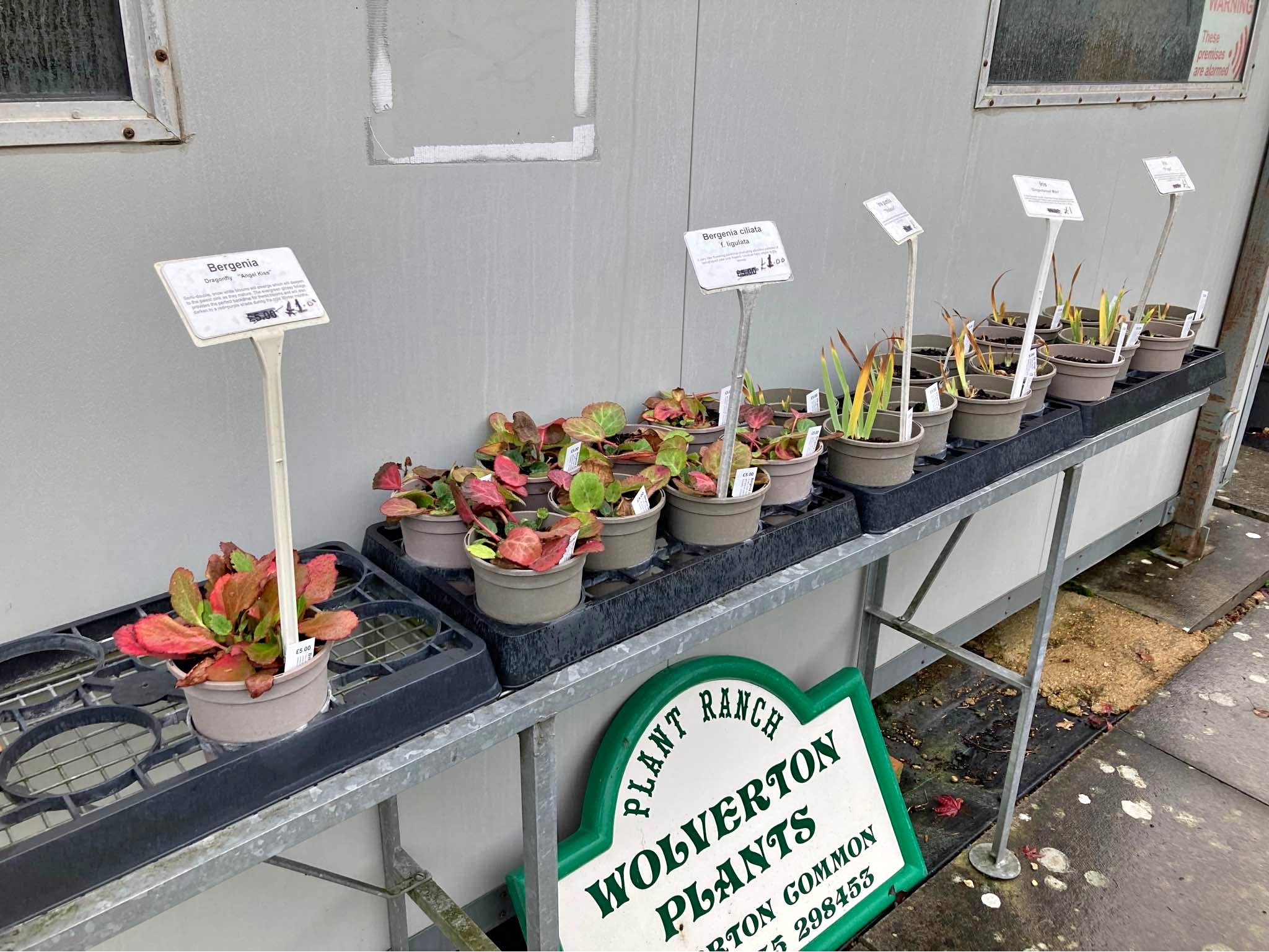 Plant Nursery closing, retiring after serving the community for 31 ...
