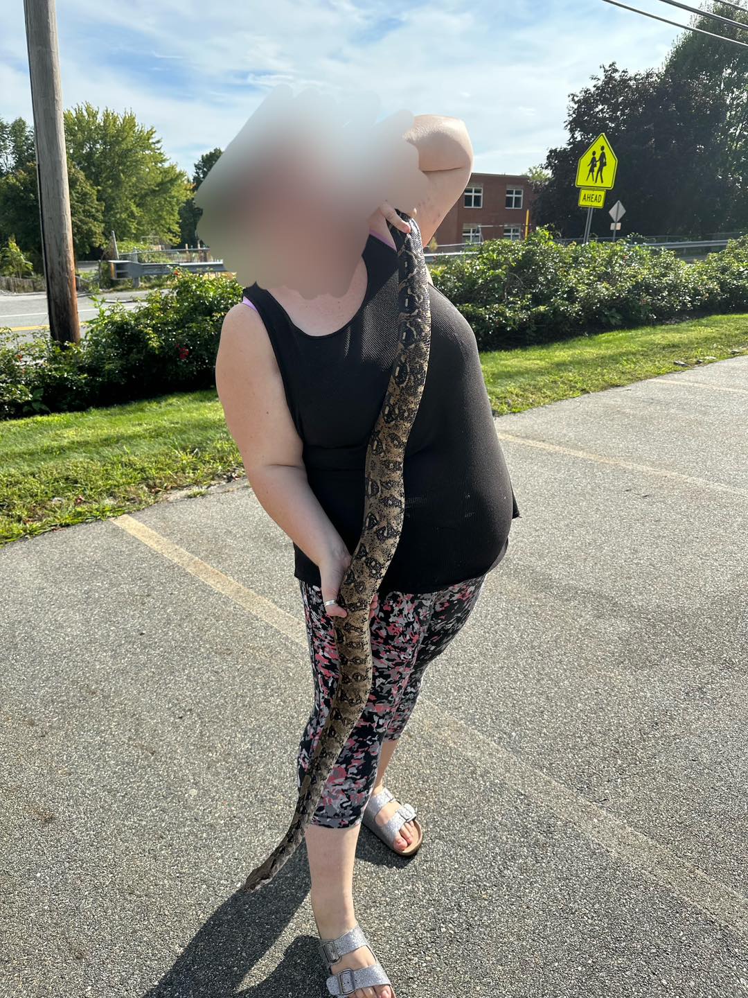 New intake alert. This is Scar,... - Ruby's Reptile Rodeo | Facebook