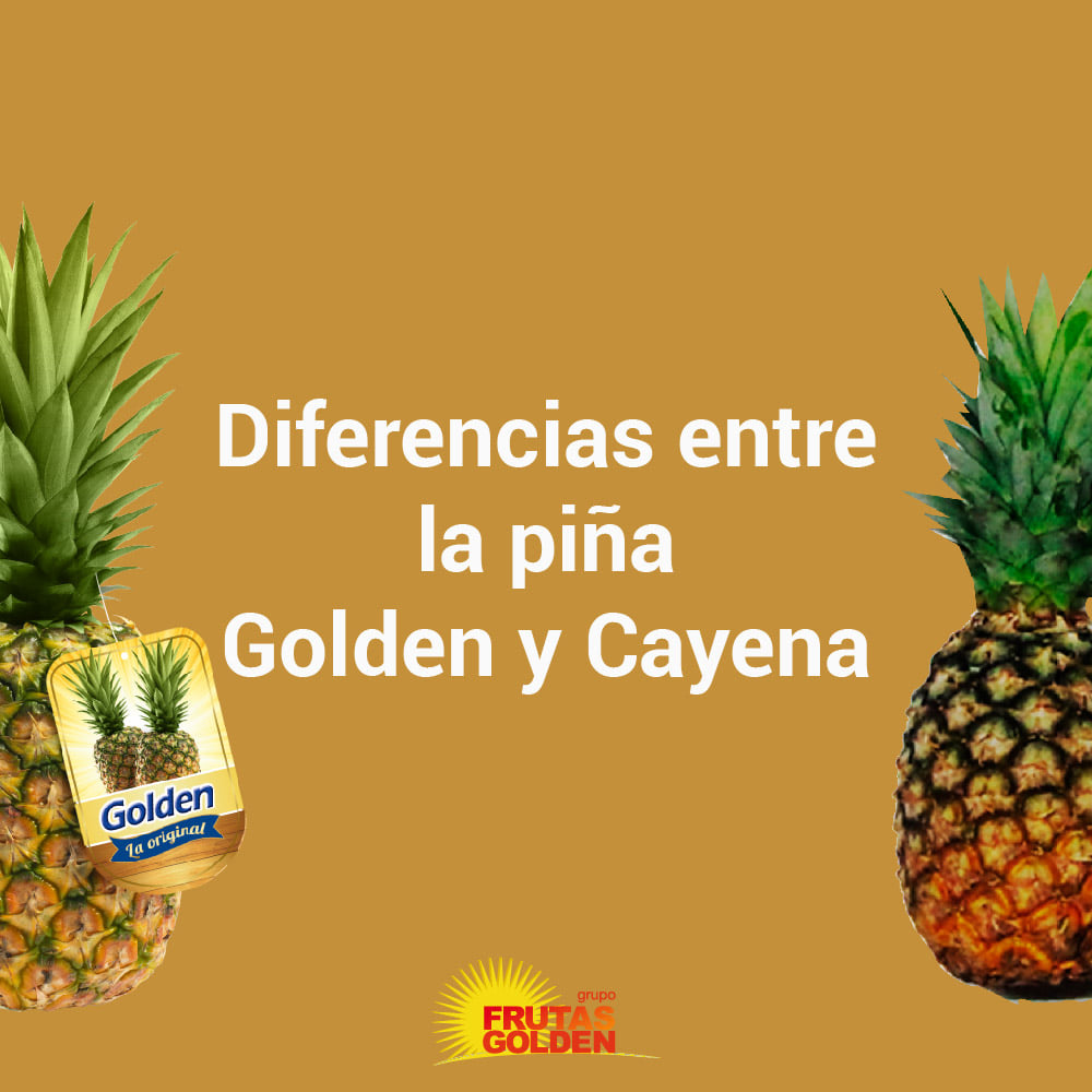 Diferencias entre la Piña Golden y... - Grupo Frutas Golden | Facebook