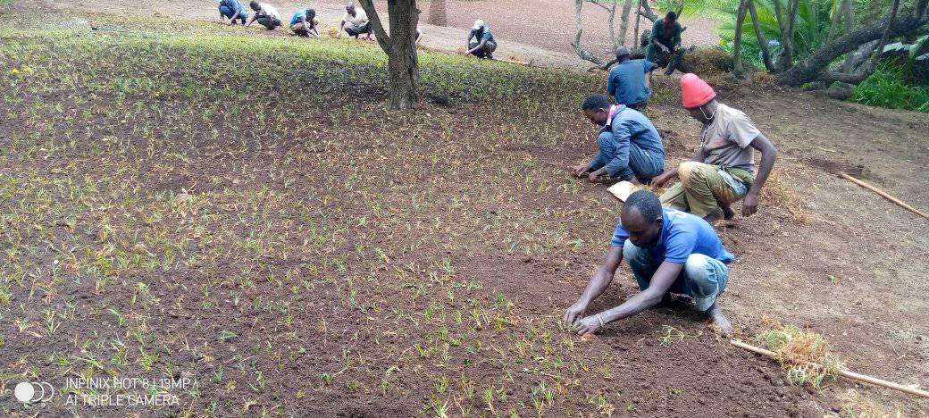 Mutunyi Permaculture and Organic Farming | Meru