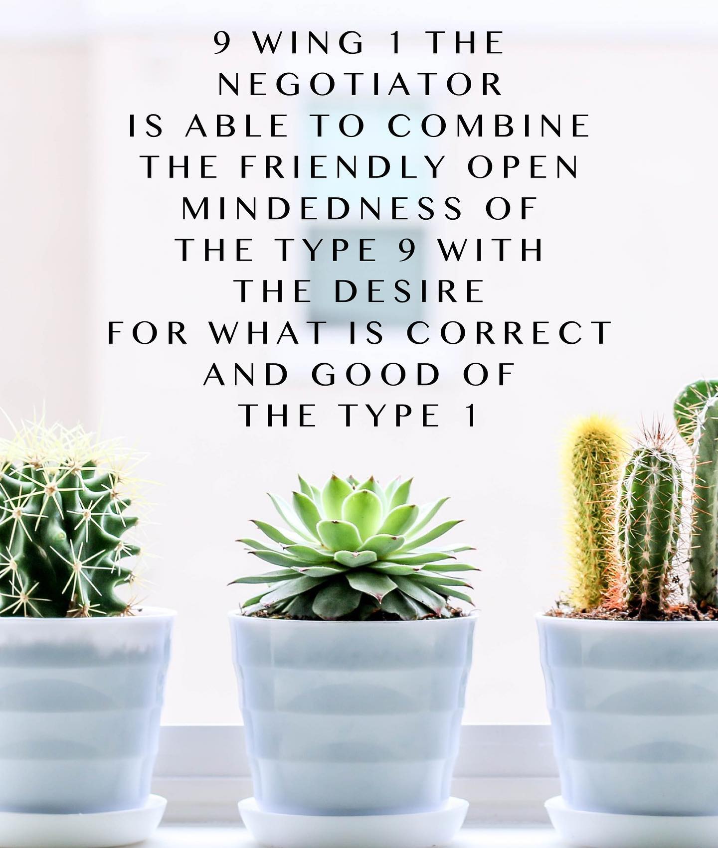 Jacksonville Enneagram... - Jacksonville Enneagram Coach