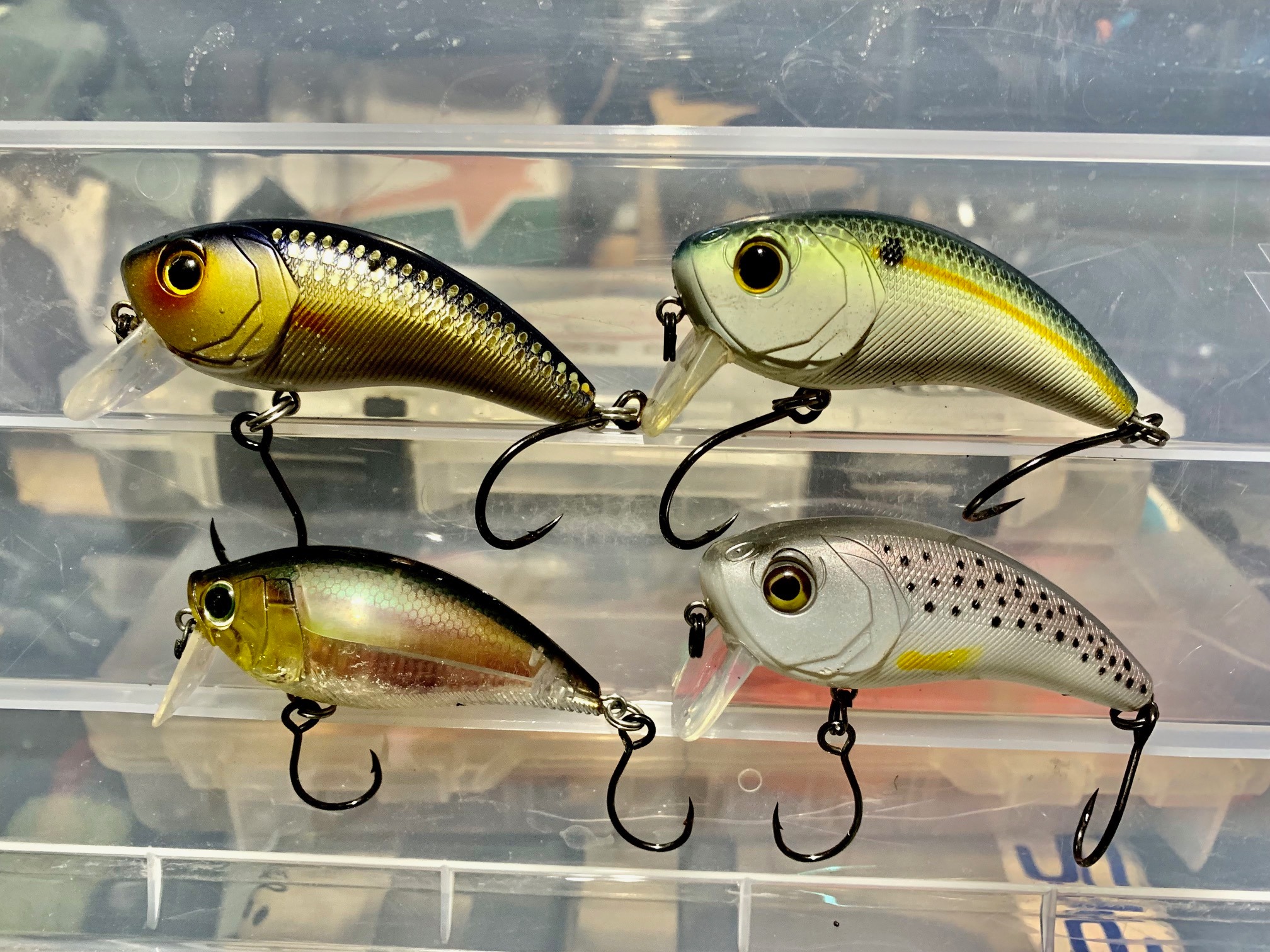 cheap gold fly reel Shilton SR12 stopping power Epic Fishing Co Diameter:8mm Penn International V Big