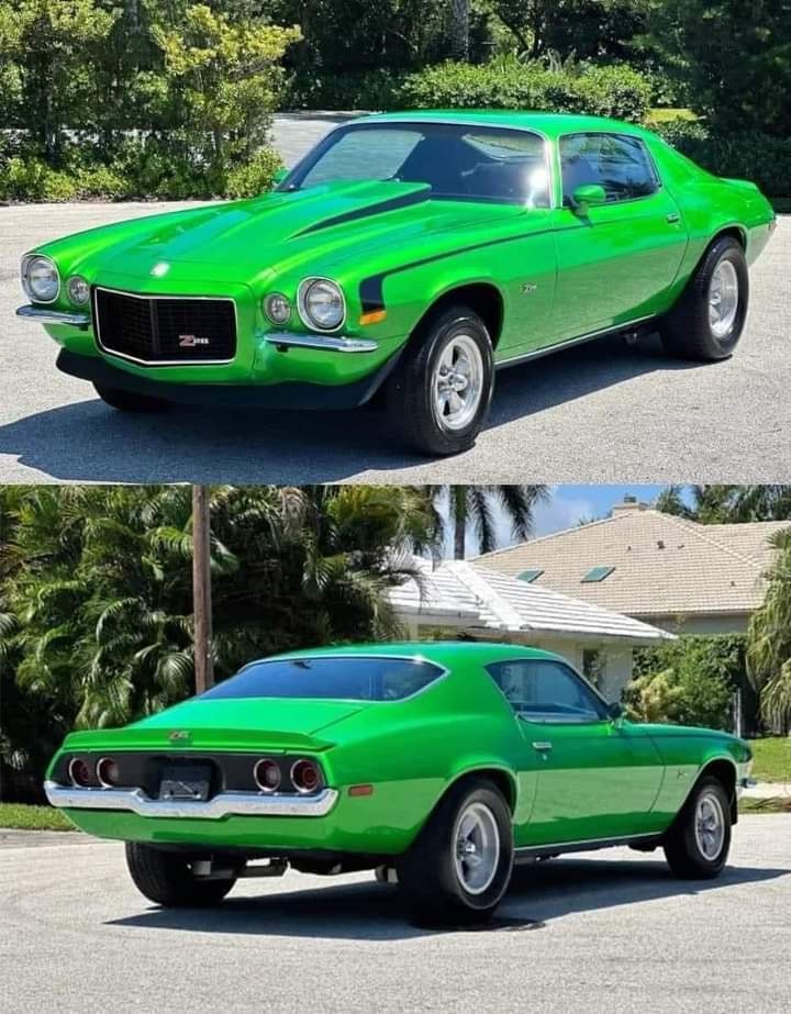 1970 Chevrolet Camaro Z/28 -1/18 Franklin mint.