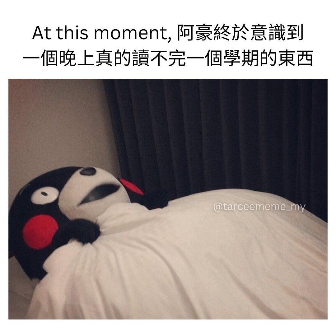 Tarcee Meme - 回家睡觉吧 已经太迟了 . . 广告/宣传，DM详谈 . IG: tarceememe_my ...