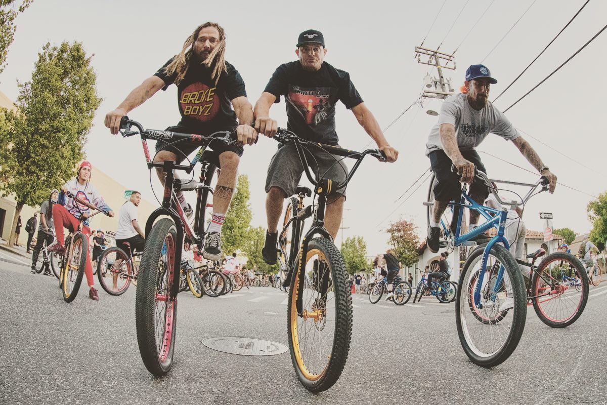 DOGTOWN x SE BIKES.?? #2019sebikes