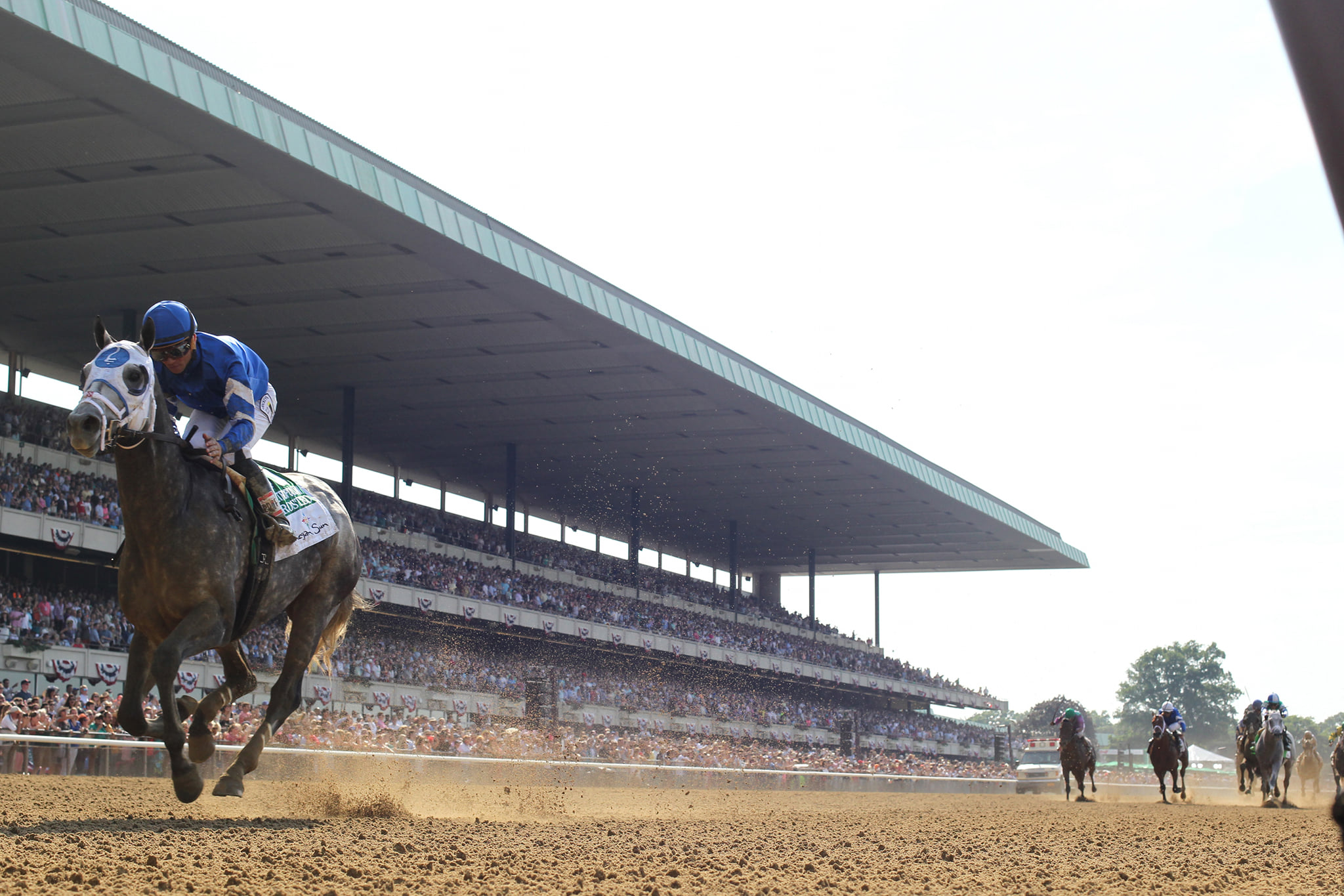 Tapit - Frosted winning the G1 Metropolitan handicap by a... | Facebook