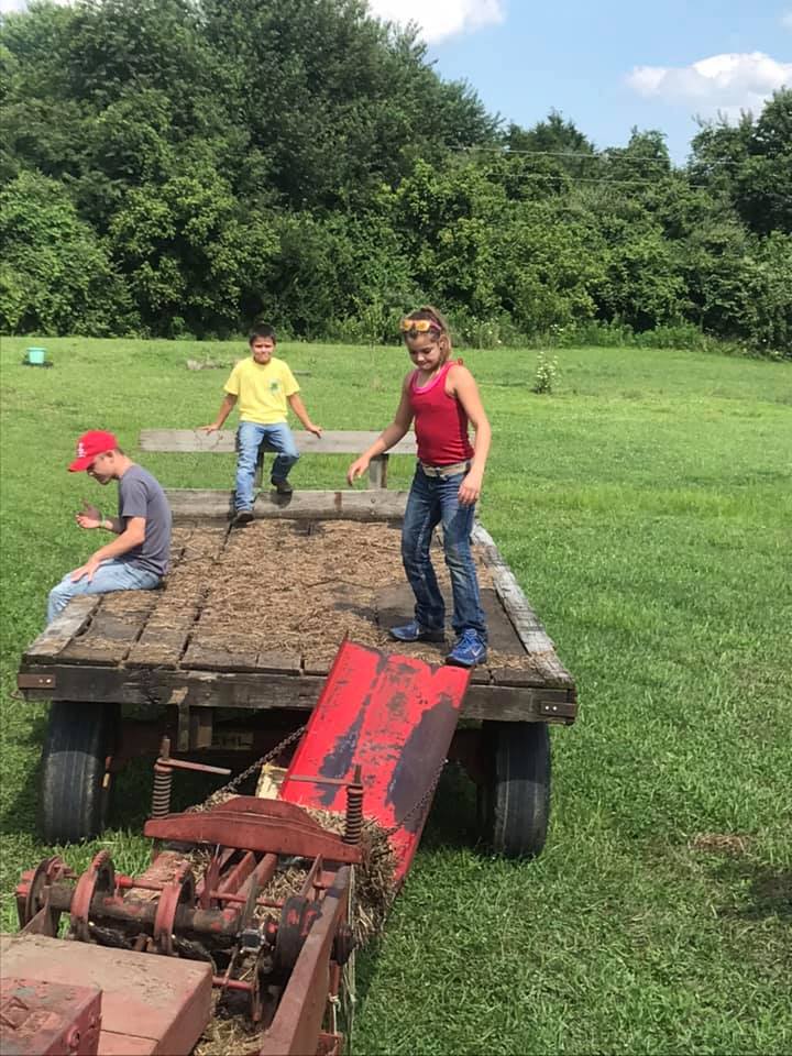 Beautiful day to do some work! - Triple S Livestock | Facebook