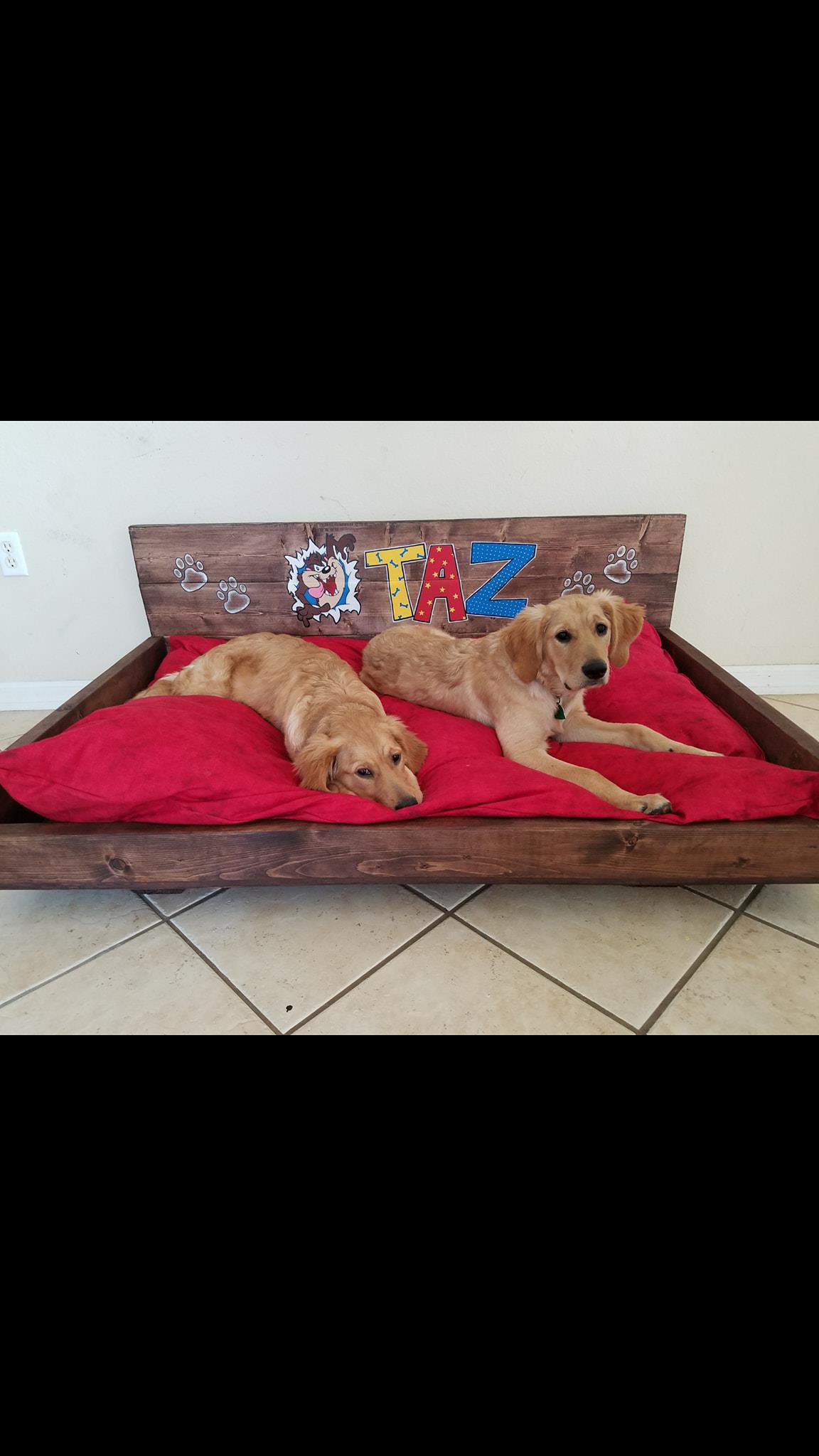 Nicky's Sweet Dreams Home