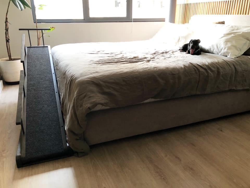 Ruff Ramps