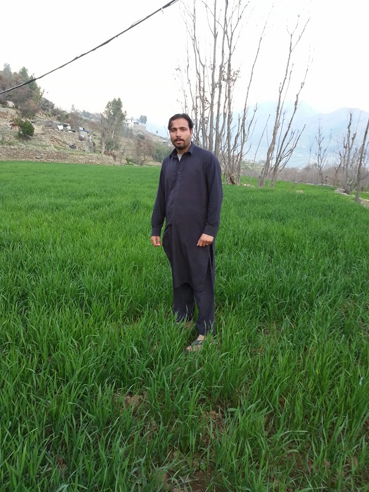 رباب.منگی