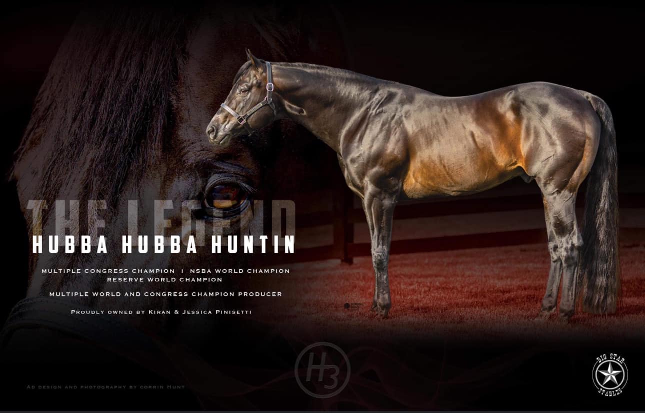 Brown Performance Horses LLC | Wanatah IN