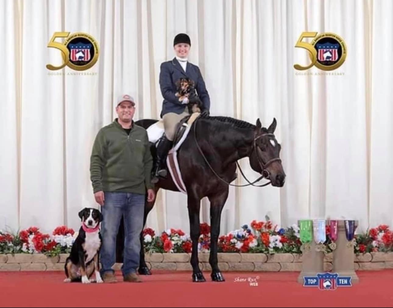 Brown Performance Horses LLC | Wanatah IN
