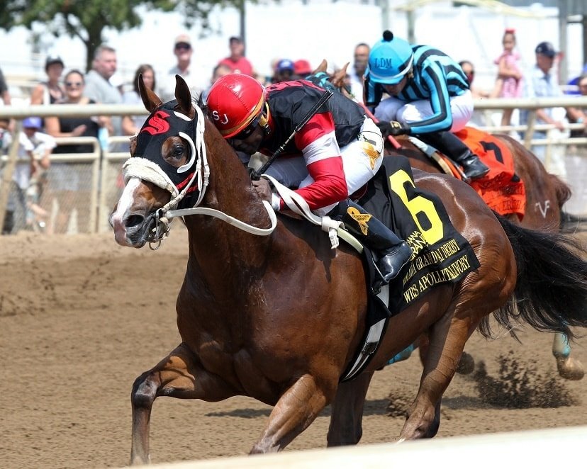 Q-Racing - Indiana Grand presented a 13-race all-Quarter... | Facebook
