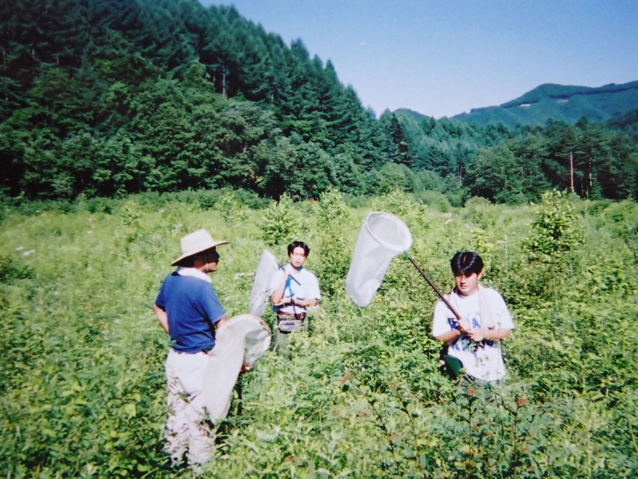 Takato - 「虫屋の交通違反」 私は虫屋になって間もない21歳の時に運転免許を取得したので、運転歴は昆虫採集歴とほぼ同じ33年になる ...