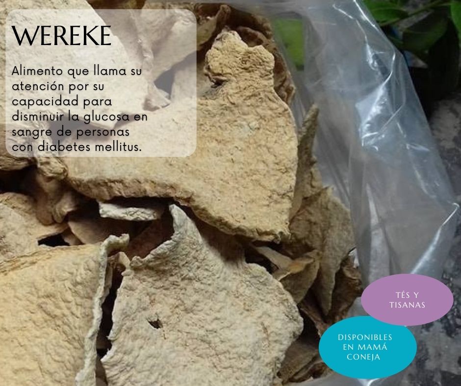 Te de Diawerek 2 Pack 50 Tea Bags Te De Wereke y Nopal