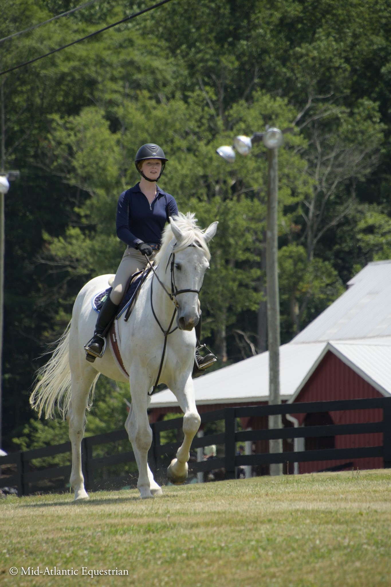 Foxtale Farm - On the heels of Grace's recent success,...