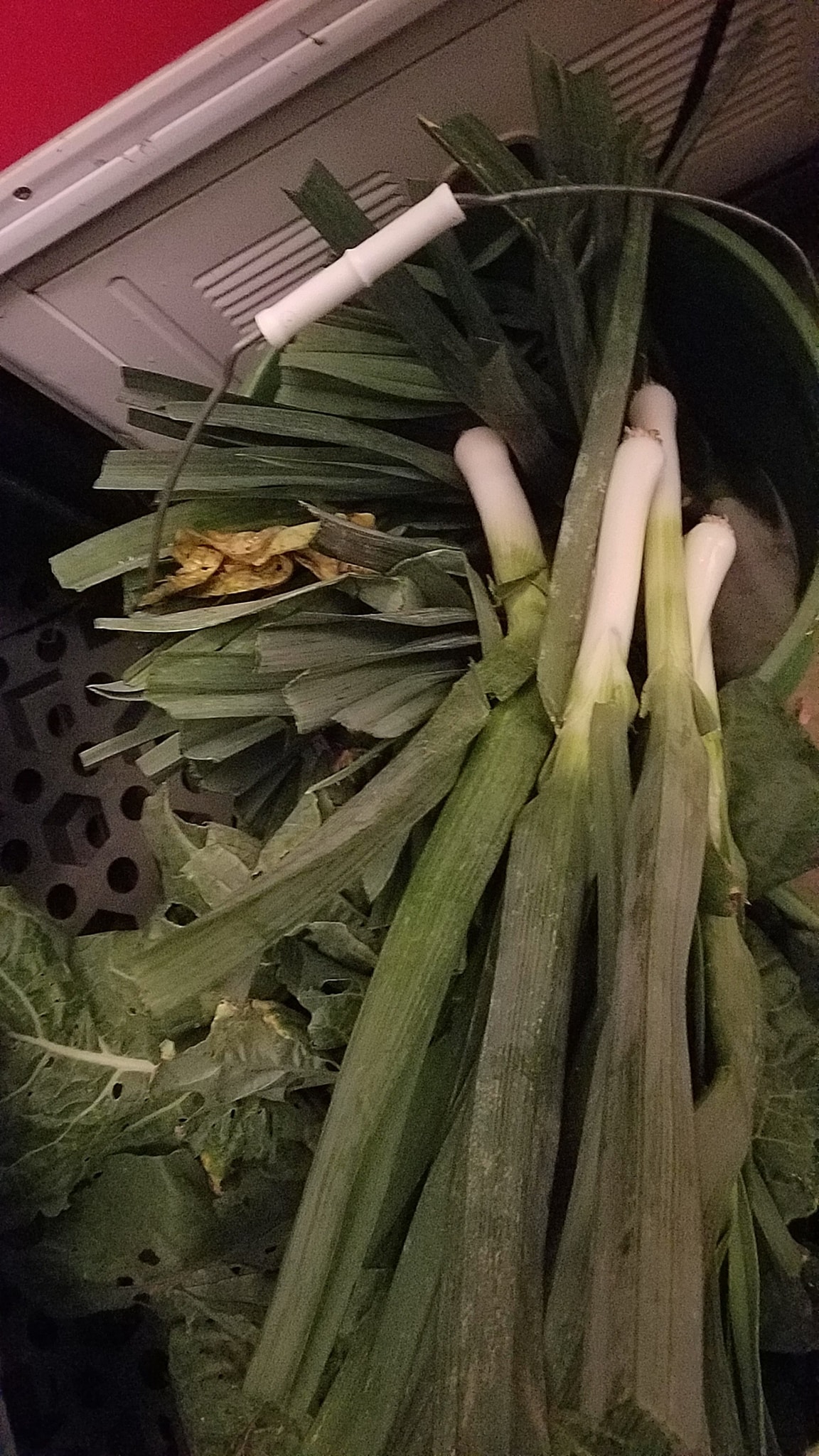 Roeske Farms of Hartland will... - Hartland Farmer's Market | Facebook