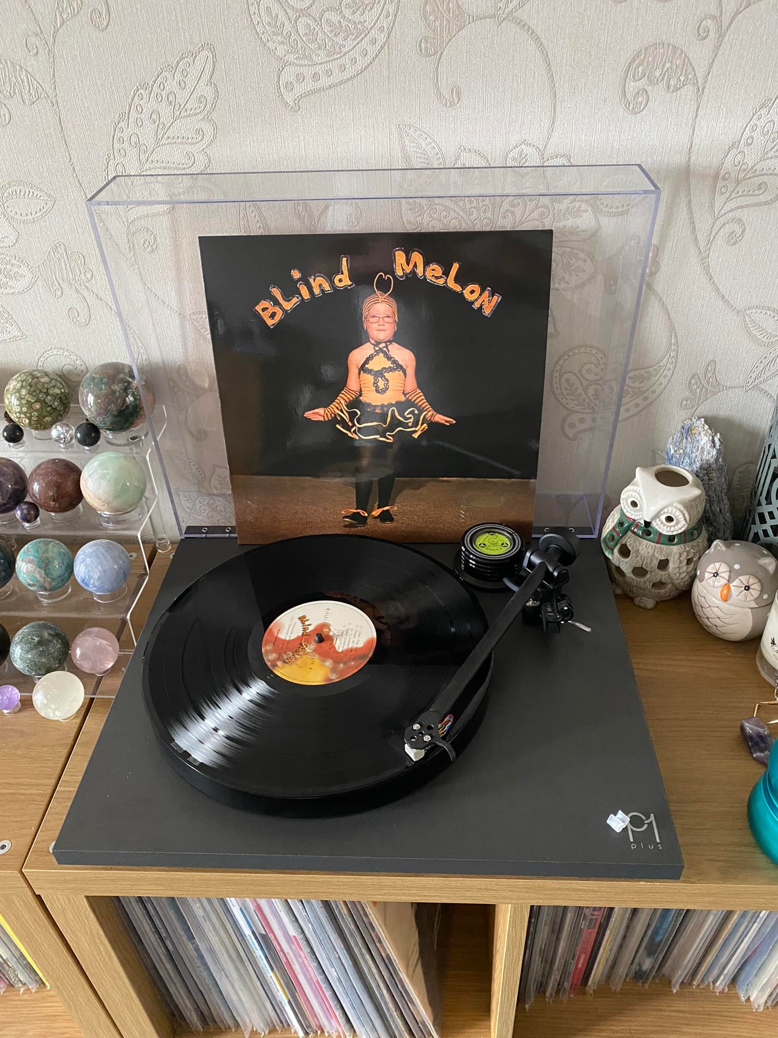 Blind Melon's self-titled album on Music on Vinyl