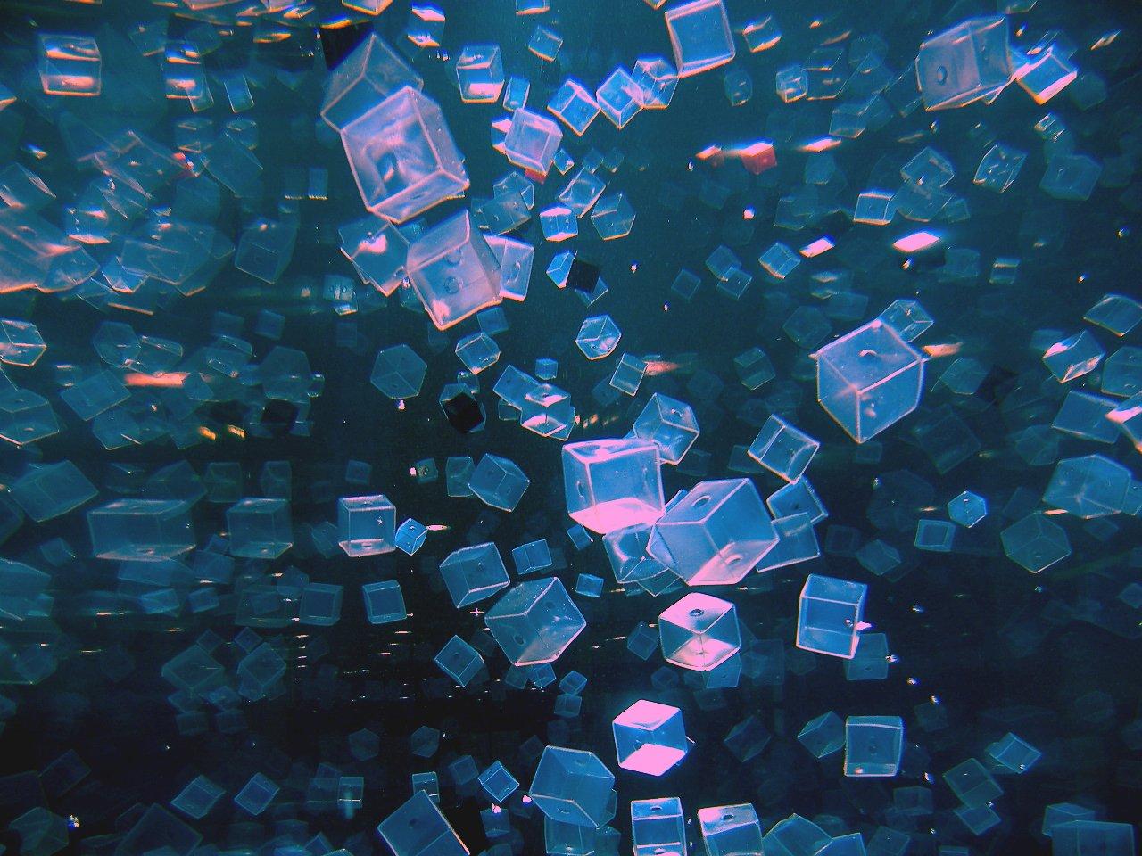 CIT MERN 2602 | Facebook