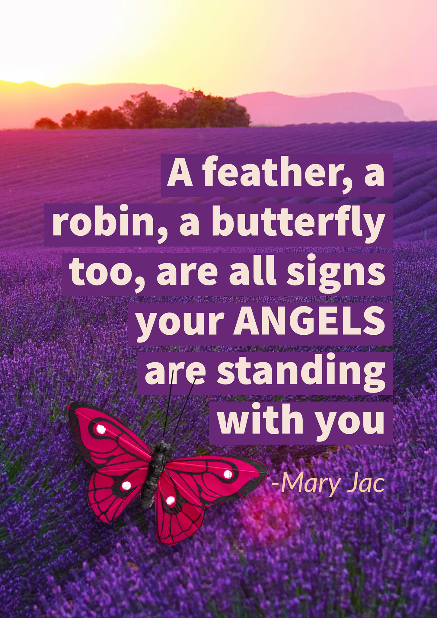 Butterflies Lovers