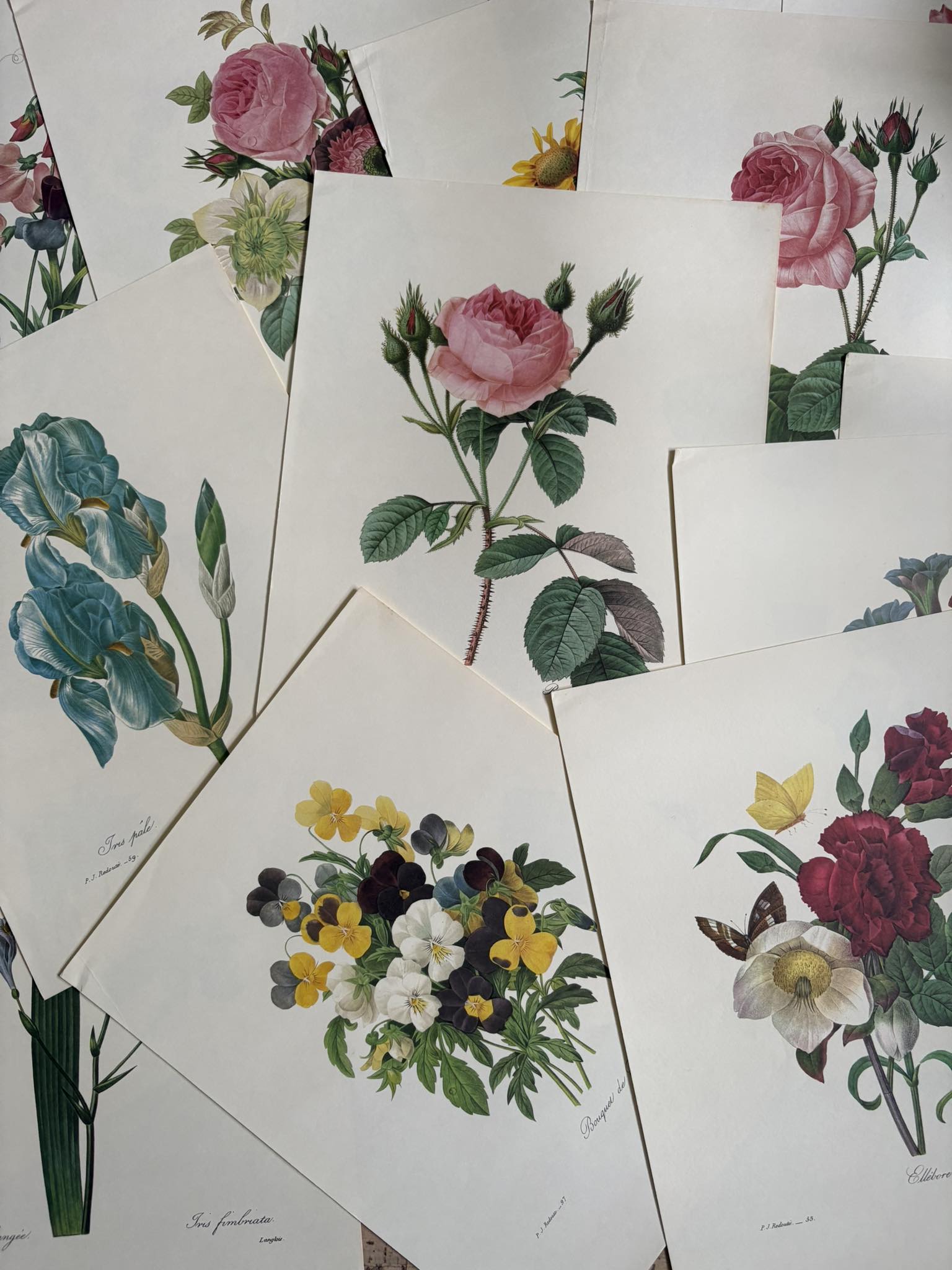 SOLD OUT! I only have TWO left of my Floral 6 bundle! 40 beautiful