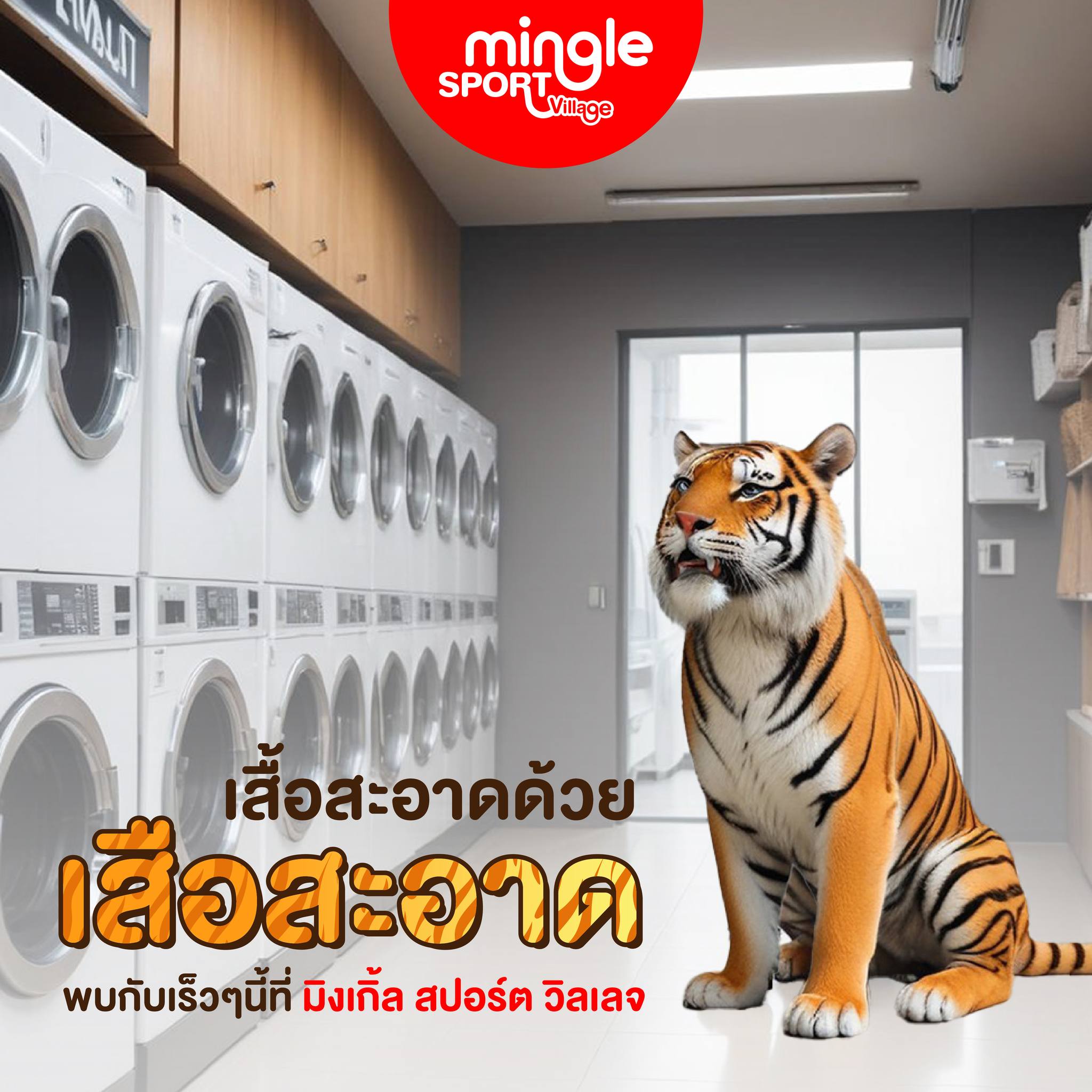 เสื้อสะอาดด้วย... - Mingle Sport Village at Rangsit | Facebook