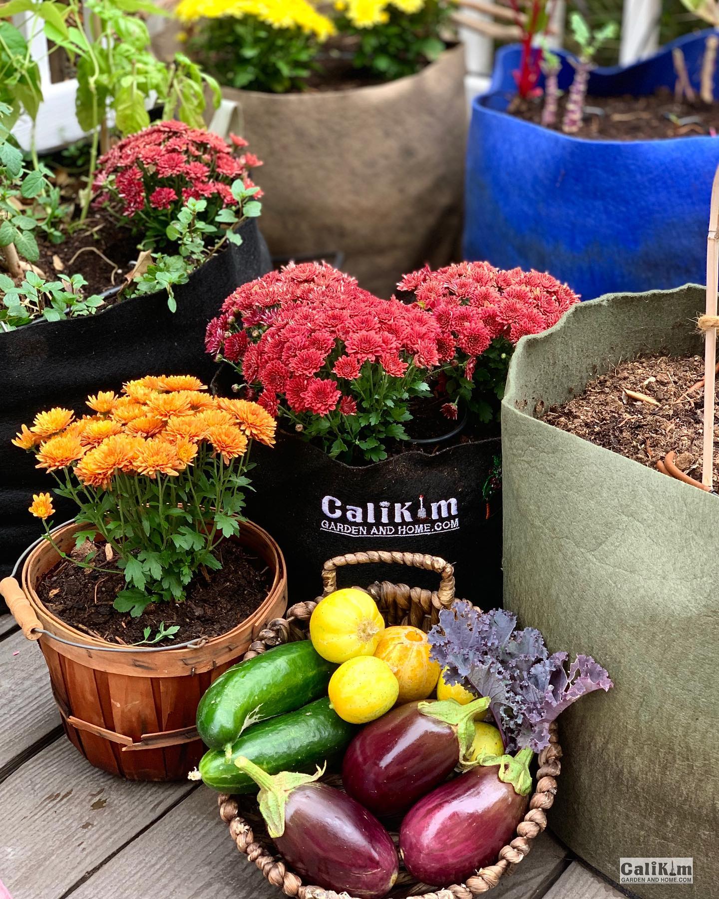 Garden grocery store harvest... - CaliKim Garden & Home DIY | Facebook