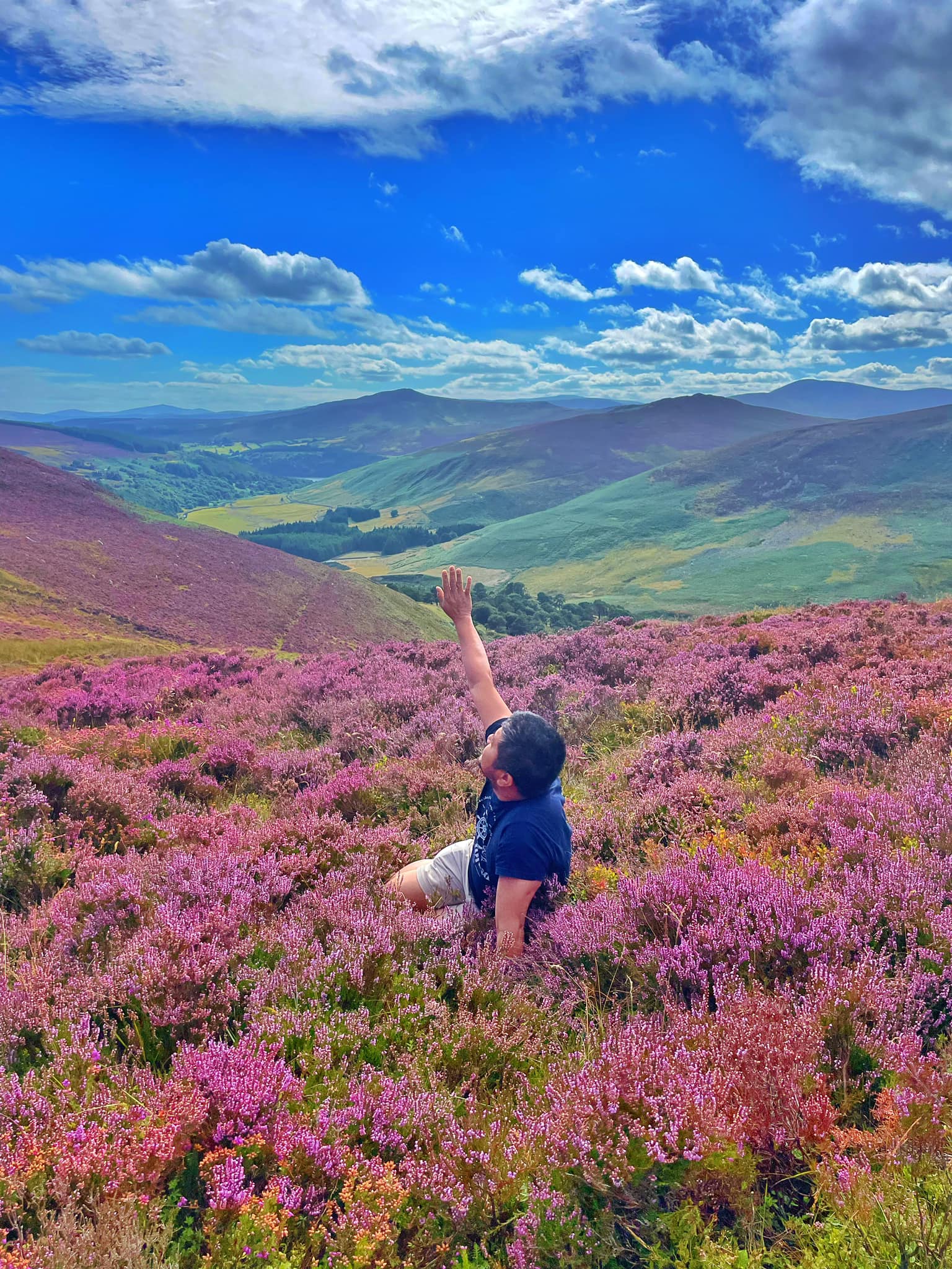 The blooming heathers at the top of the Wicklow mountains mimic 