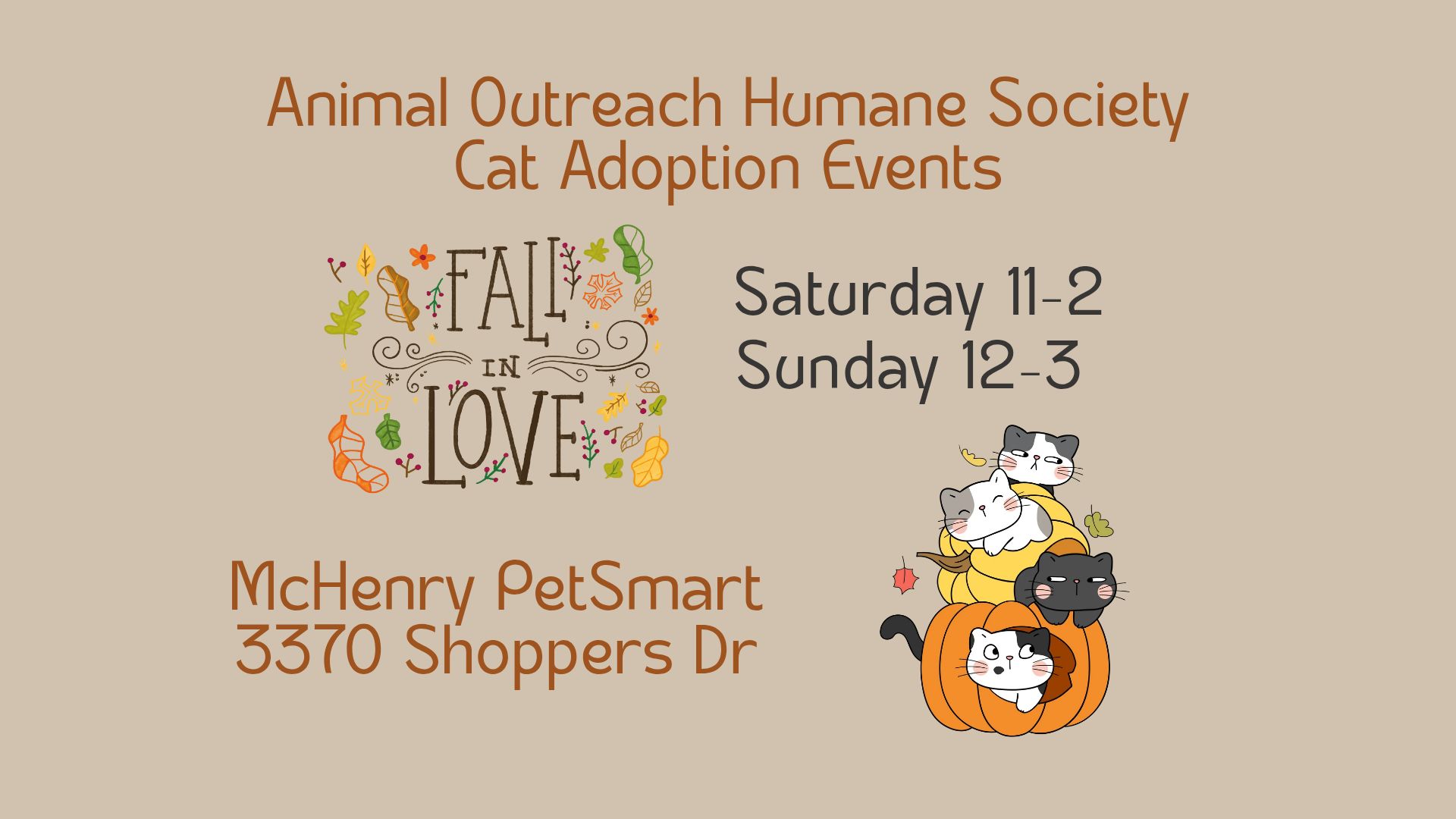 Cat Adoption Event