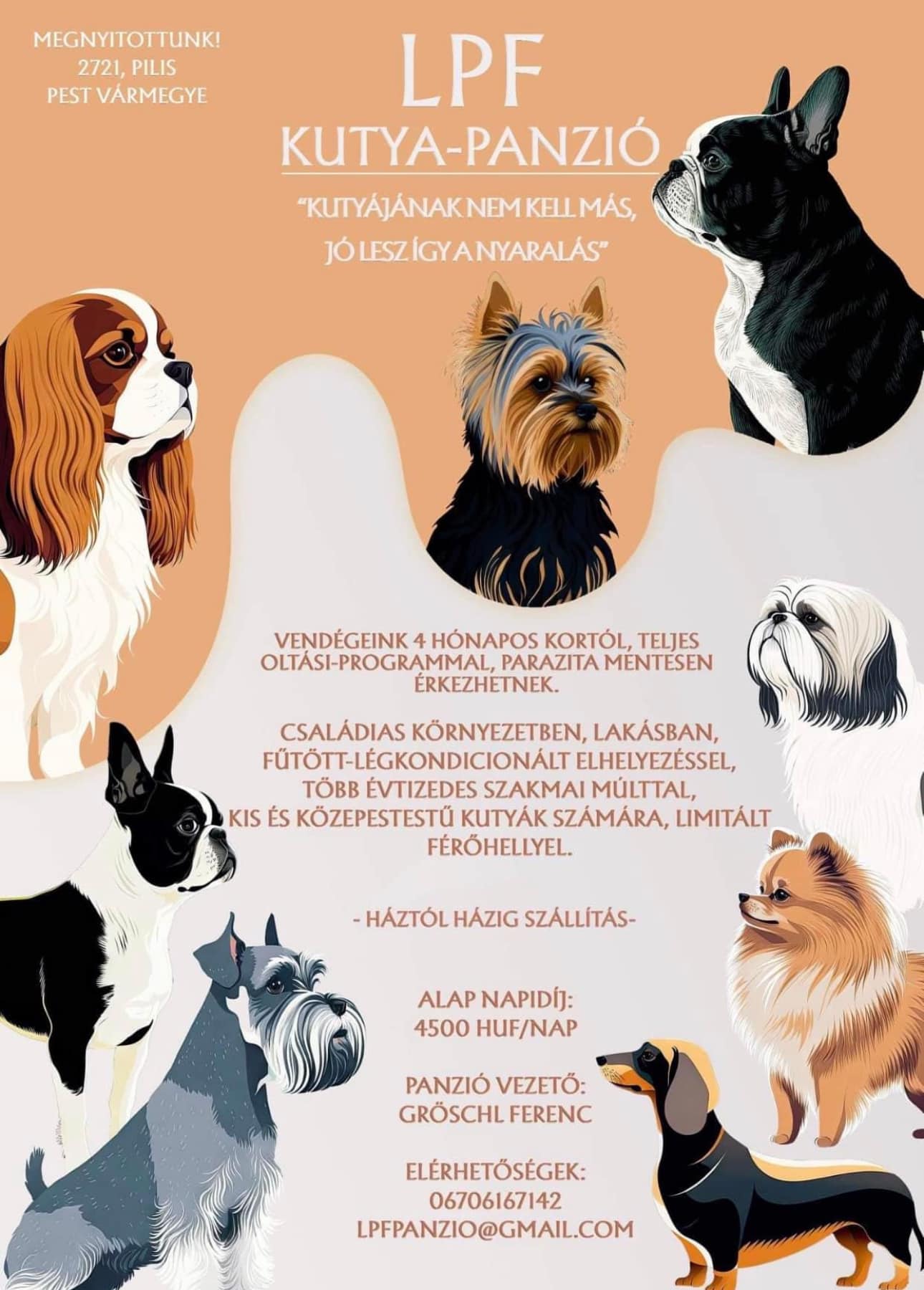 LPF Kutyapanzió | Pilis