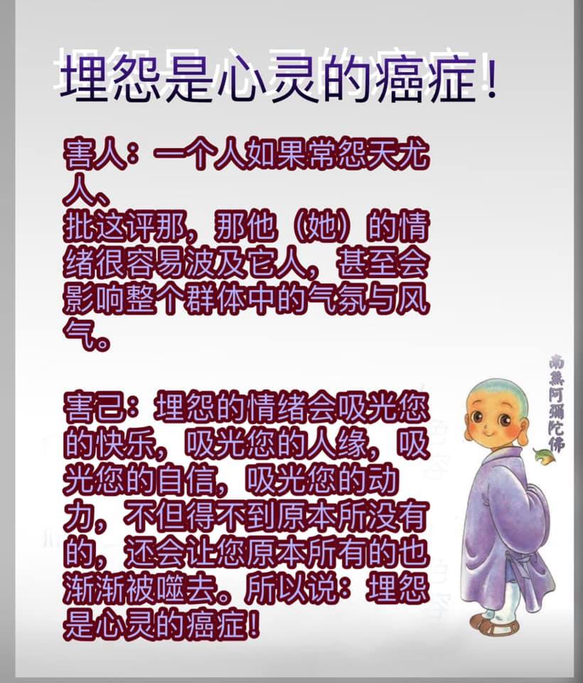🙏🏻阿彌陀佛🙏🏻 - 马来西亚法宝结缘区 （免费结缘）