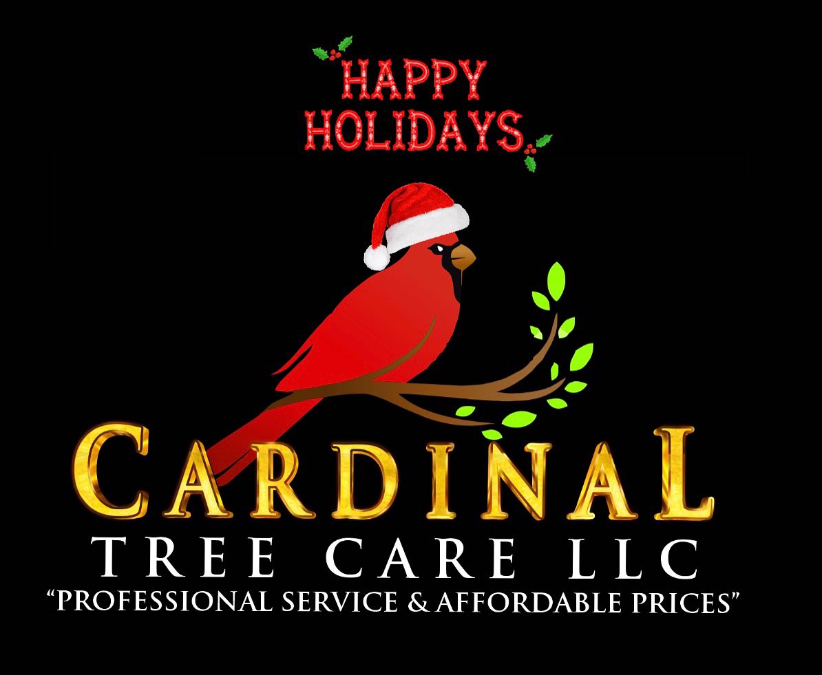 Cardinal Tree Care LLC | Arlington VA