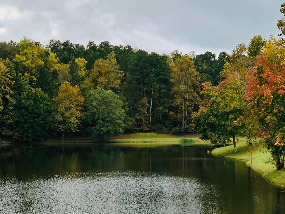 Beautiful fall foliage at the lake at... - When In Rome, Ga