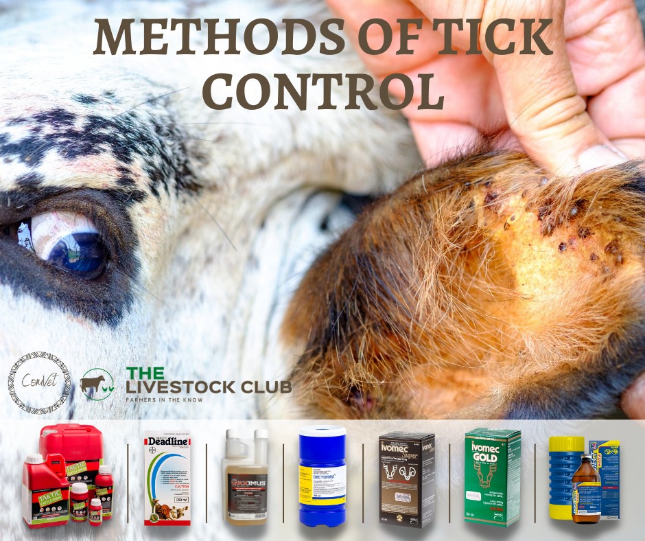 Comvet Animal Health - 𝐌𝐄𝐓𝐇𝐎𝐃𝐒 𝐎𝐅 𝐓𝐈𝐂𝐊 𝐂𝐎𝐍𝐓𝐑𝐎𝐋 🐂🐐🐑🐏 𝐇𝐞𝐚𝐫𝐭𝐰𝐚𝐭𝐞𝐫 ...