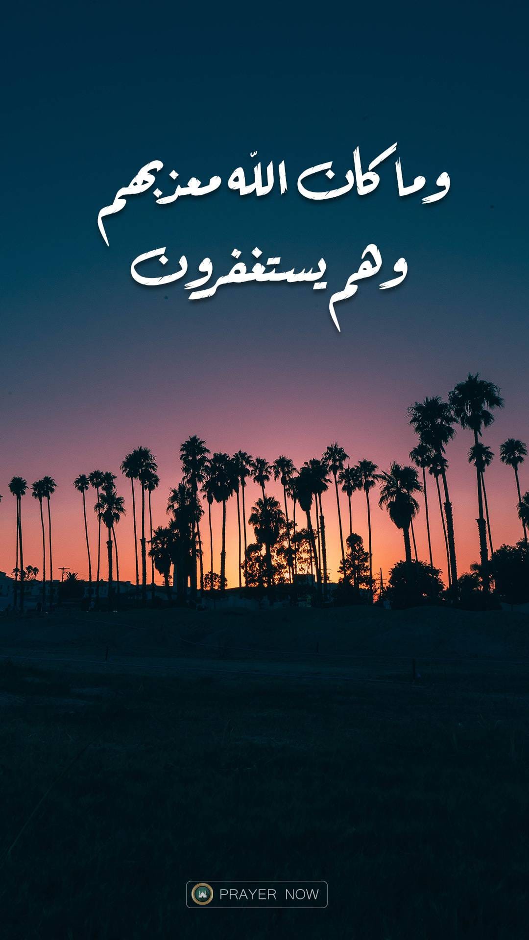 Fathi Rashed