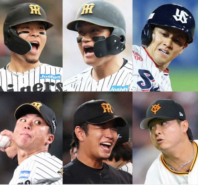 ドラフト1位の立石正広選手の直筆サイン当たりました🎯