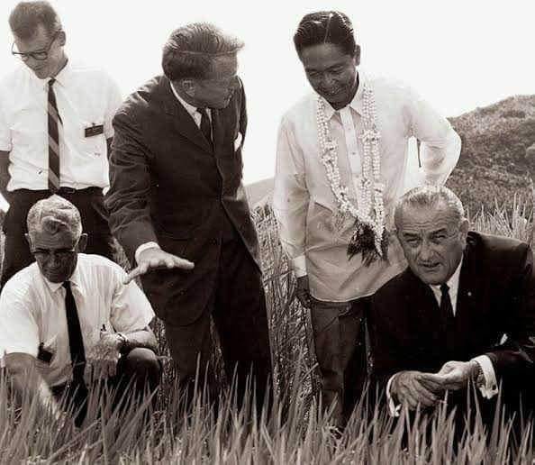 MASAGANA 99 was a rice... - Balita sa Buong Mundo | Facebook