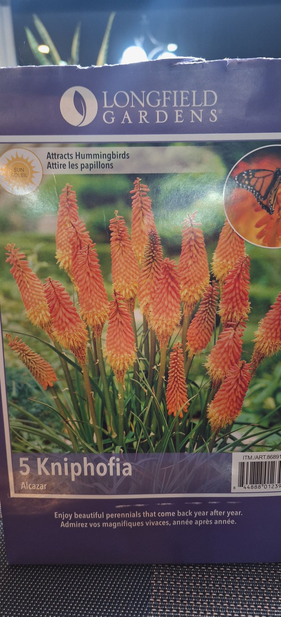 【Lily様】専用・4点まとめ買い特割①赤360g②青360g③緑360g×2 Where to keep already sprouted lily kits from Costco?