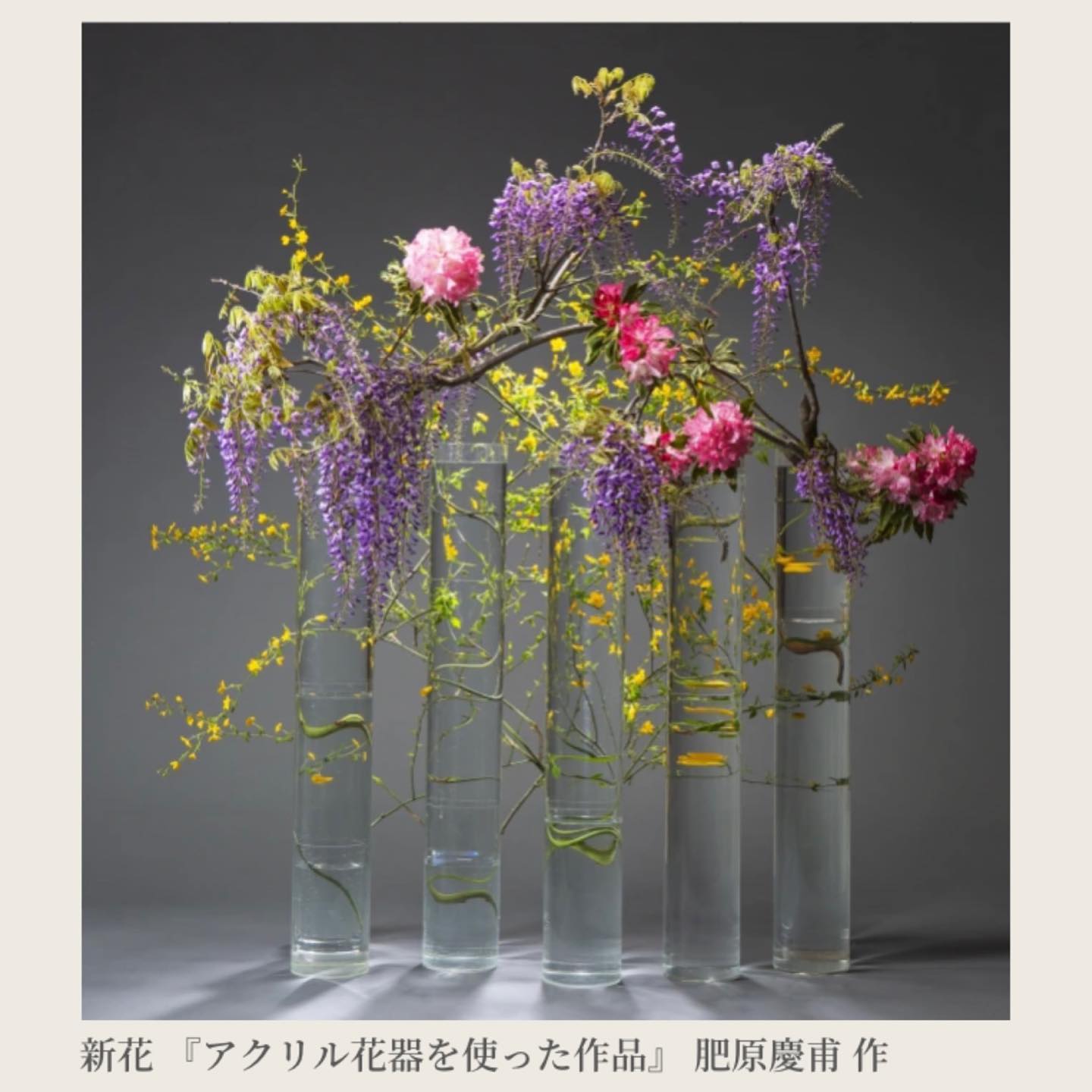 阪急うめだ本店 イベント情報 - 【予告】 未生流展～花のキセキ～ 流祖二百回忌 3月22日（水）～27日（月）...