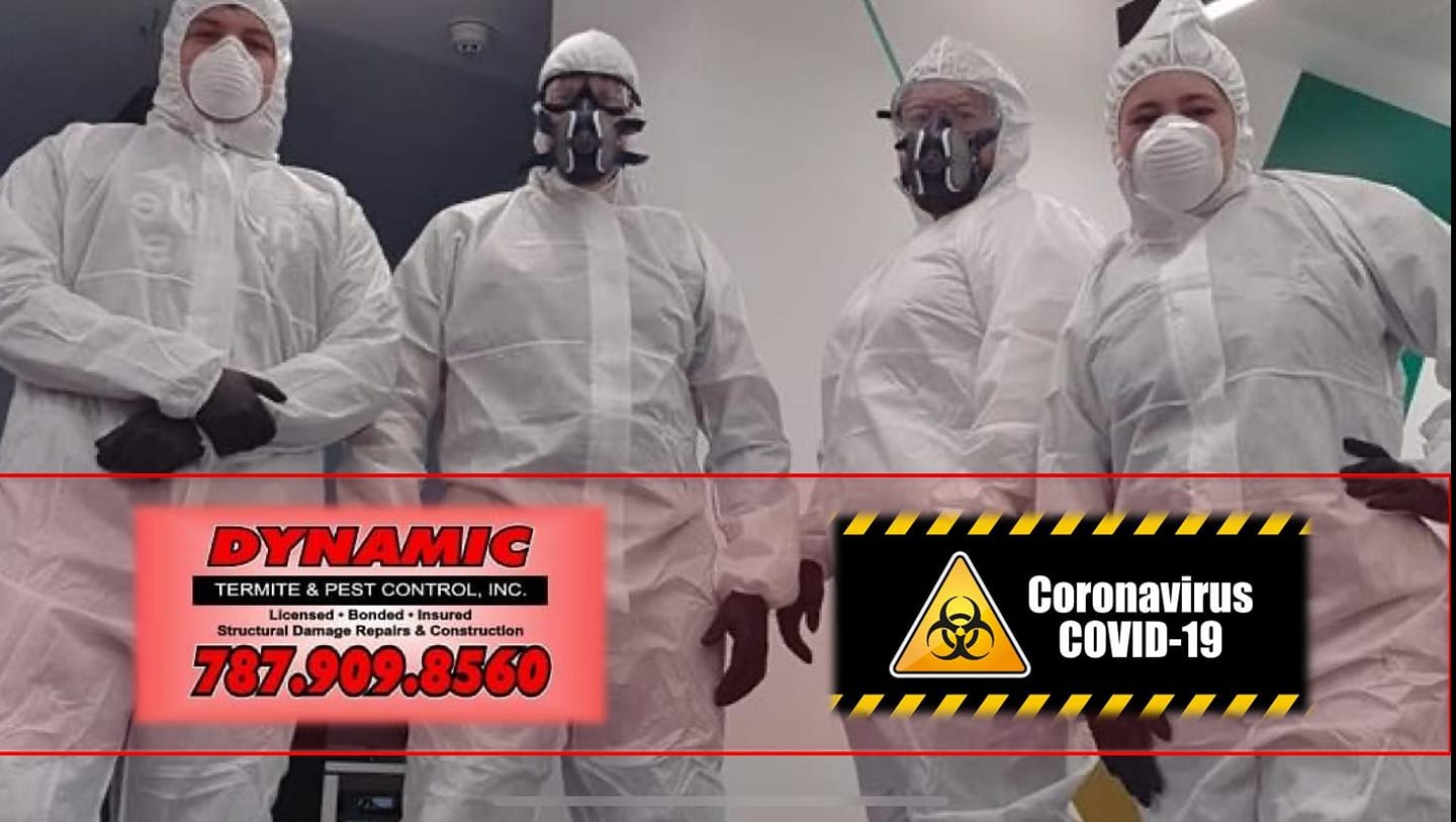 Dynamic Termite and Pest Control, Inc | Caguas