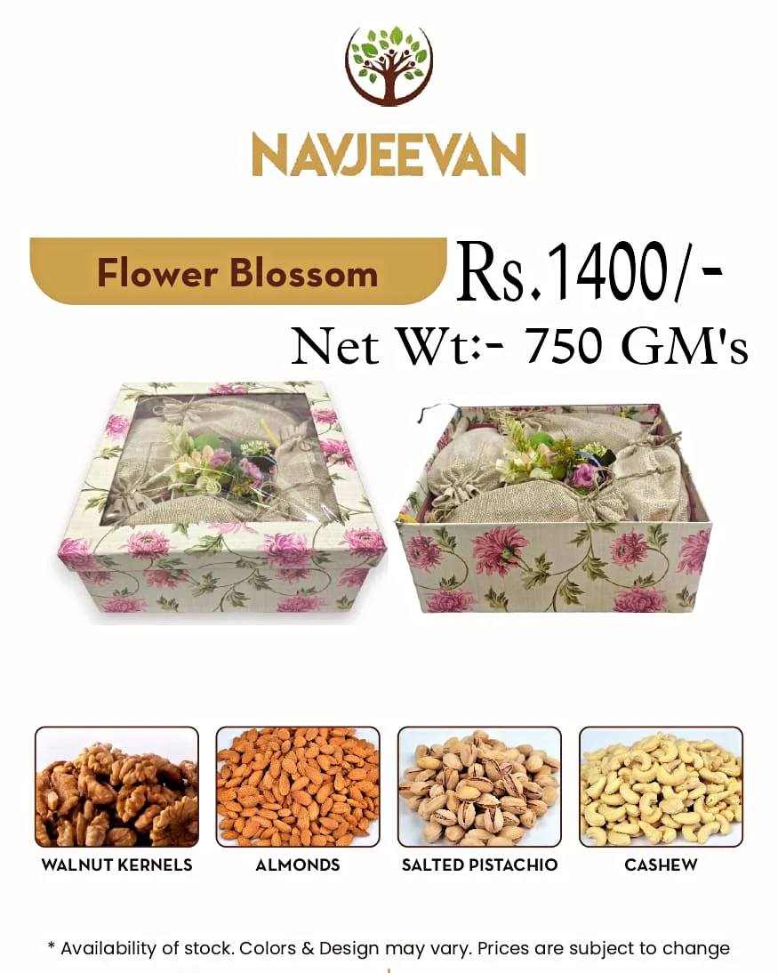 Navjeevan Foods
