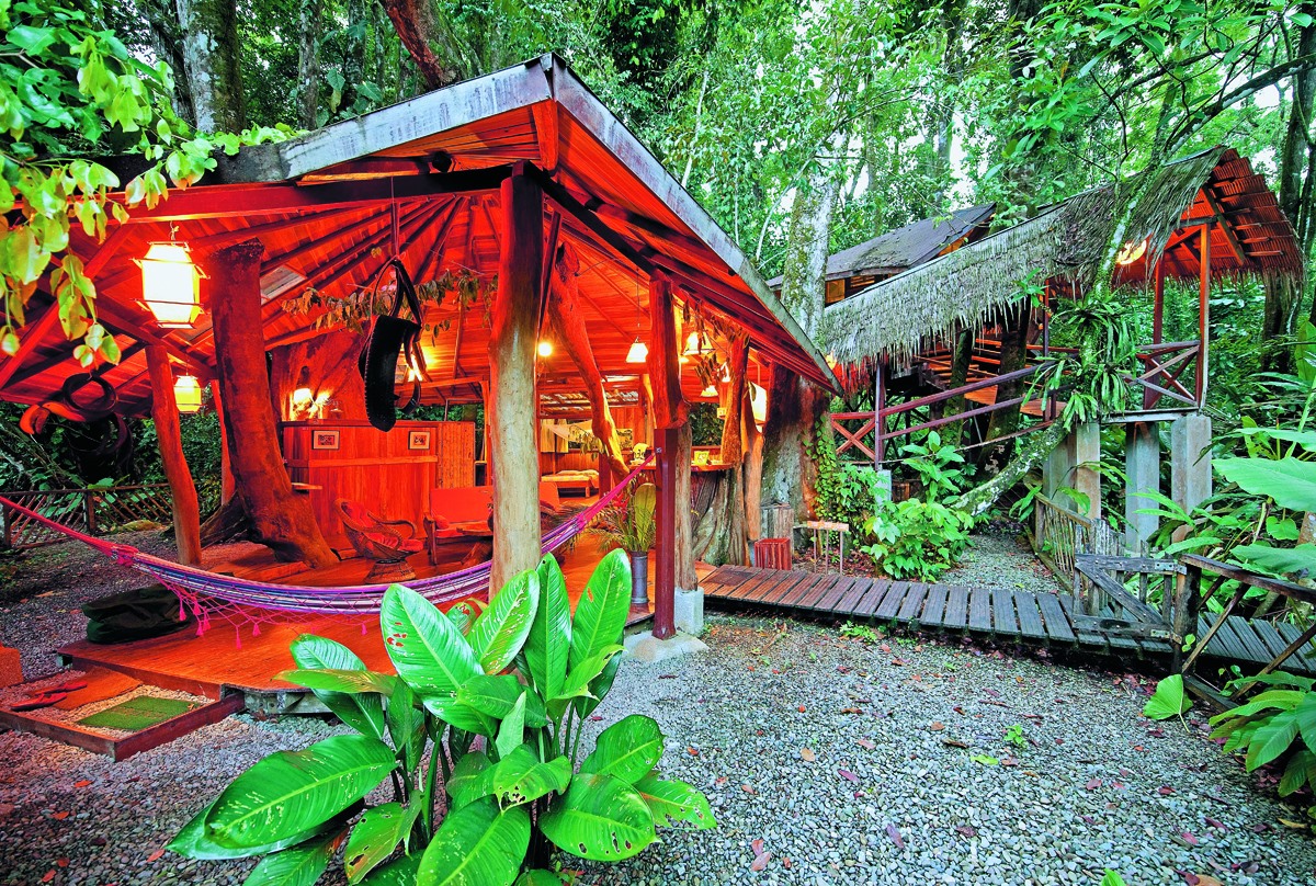 Tree House Lodge added a new photo. - Tree House Lodge