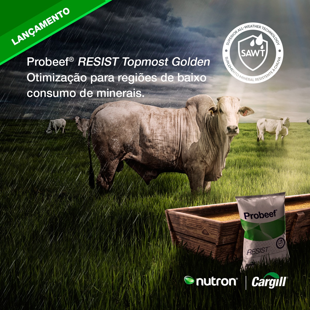 Probeef - Probeef® RESIST Topmost Golden é o lançamento... | Facebook